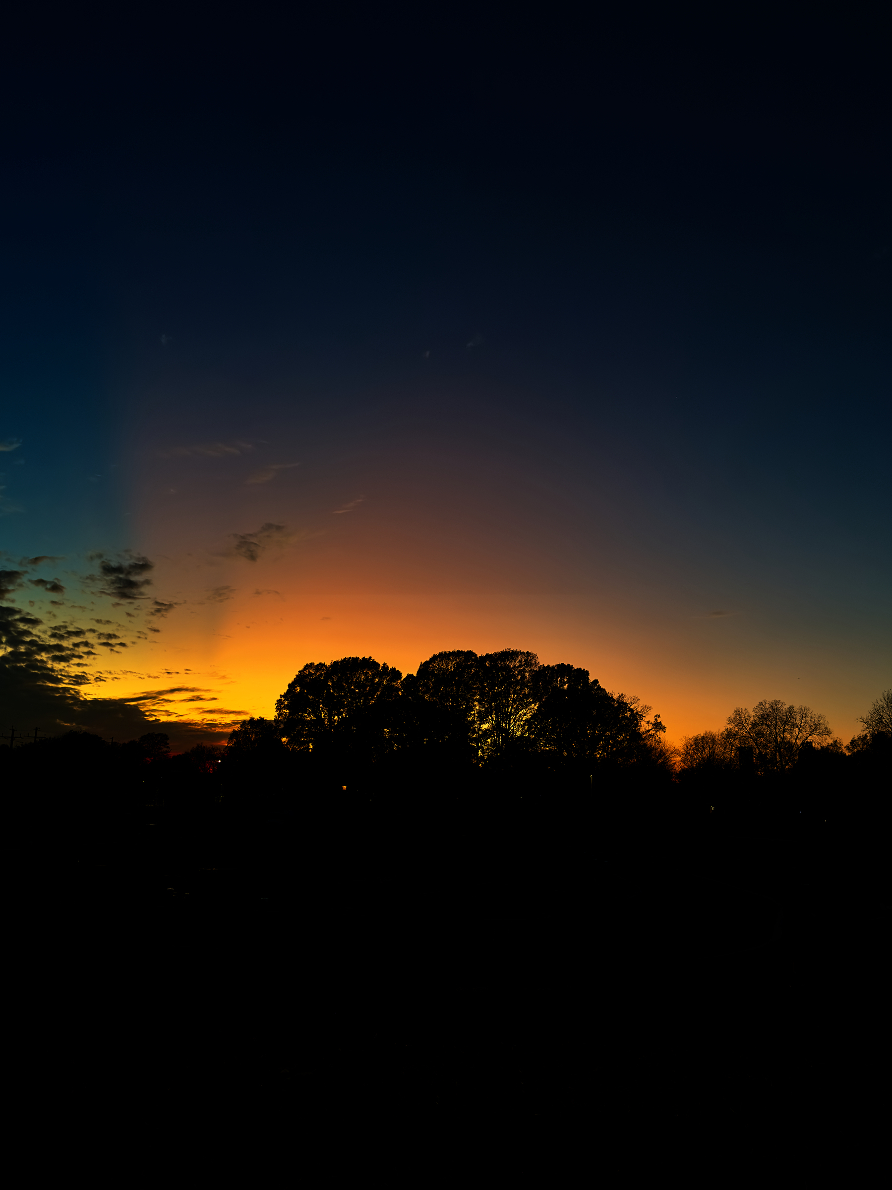 A silhouette of trees with afterglow sky in the background. 