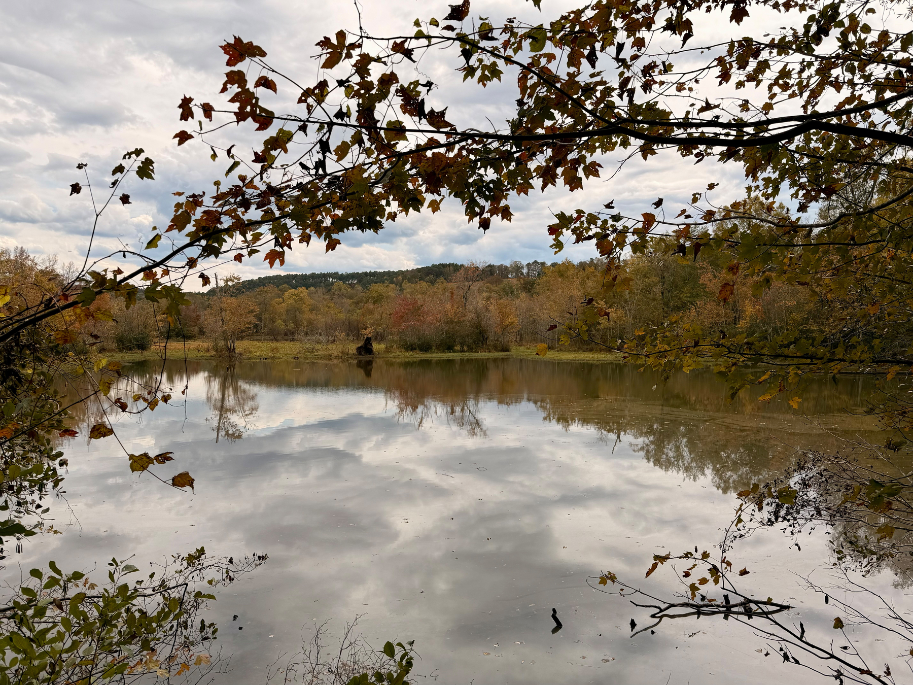 Auto-generated description: A serene pond reflects a cloudy sky, surrounded by trees with autumn foliage.