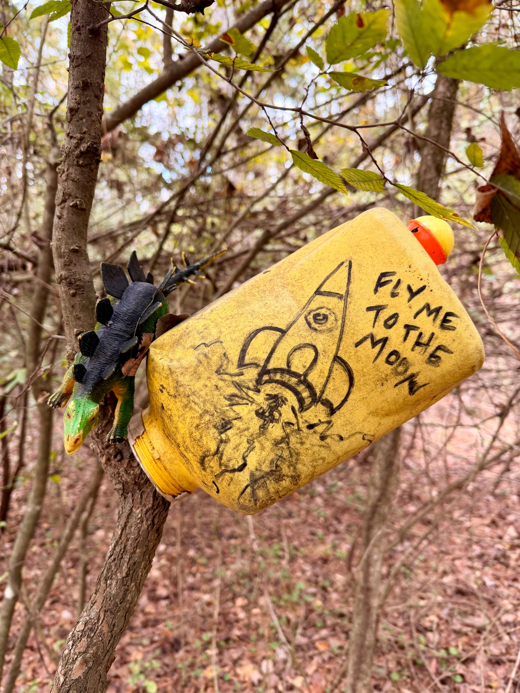 Auto-generated description: A yellow container with a rocket drawing and FLY ME TO THE MOON text is attached to a tree branch alongside a toy dinosaur.