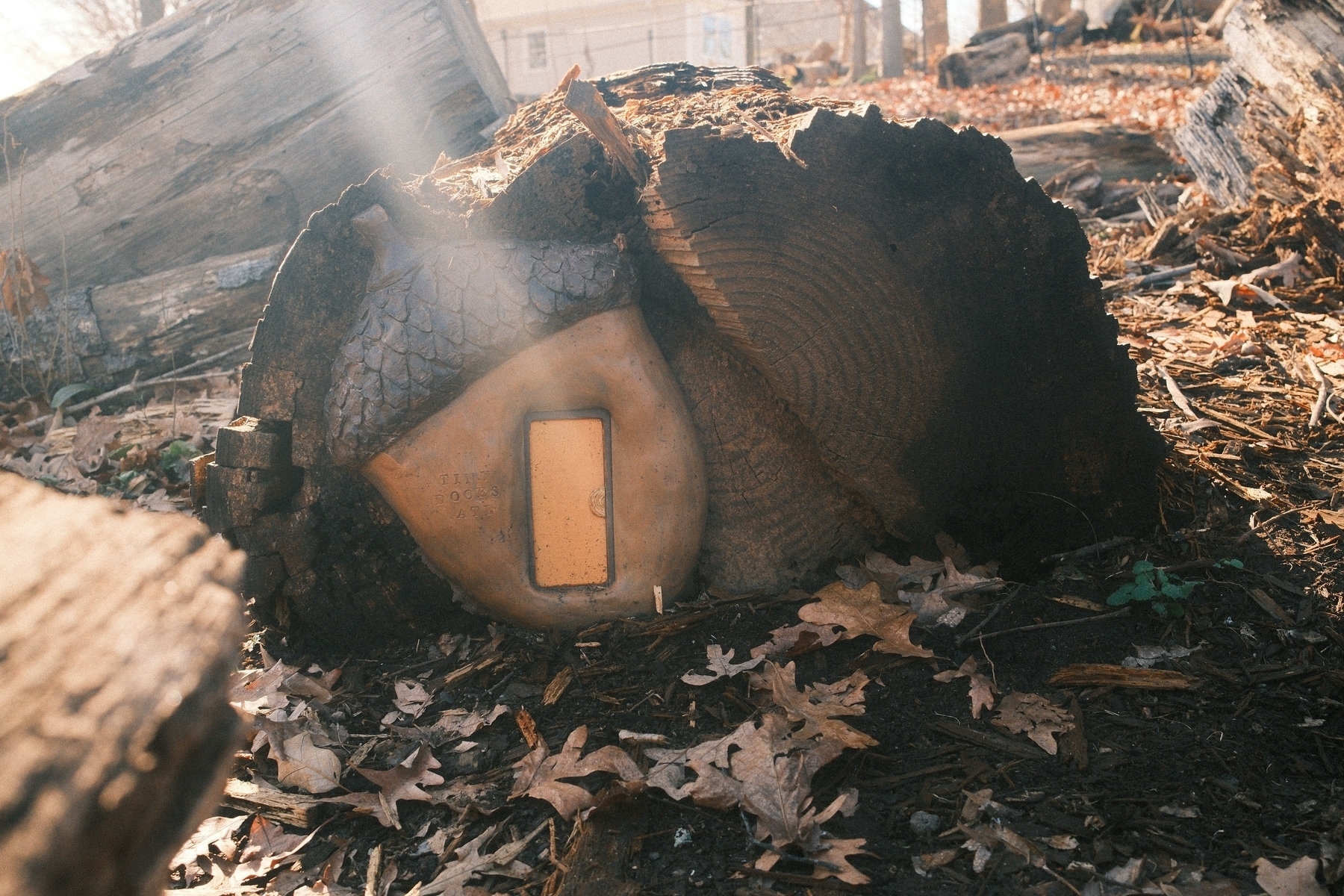 A fallen tree log with a tiny decorative door set into its side, surrounded by fallen leaves on the ground. Sunlight streams in from the top left corner.