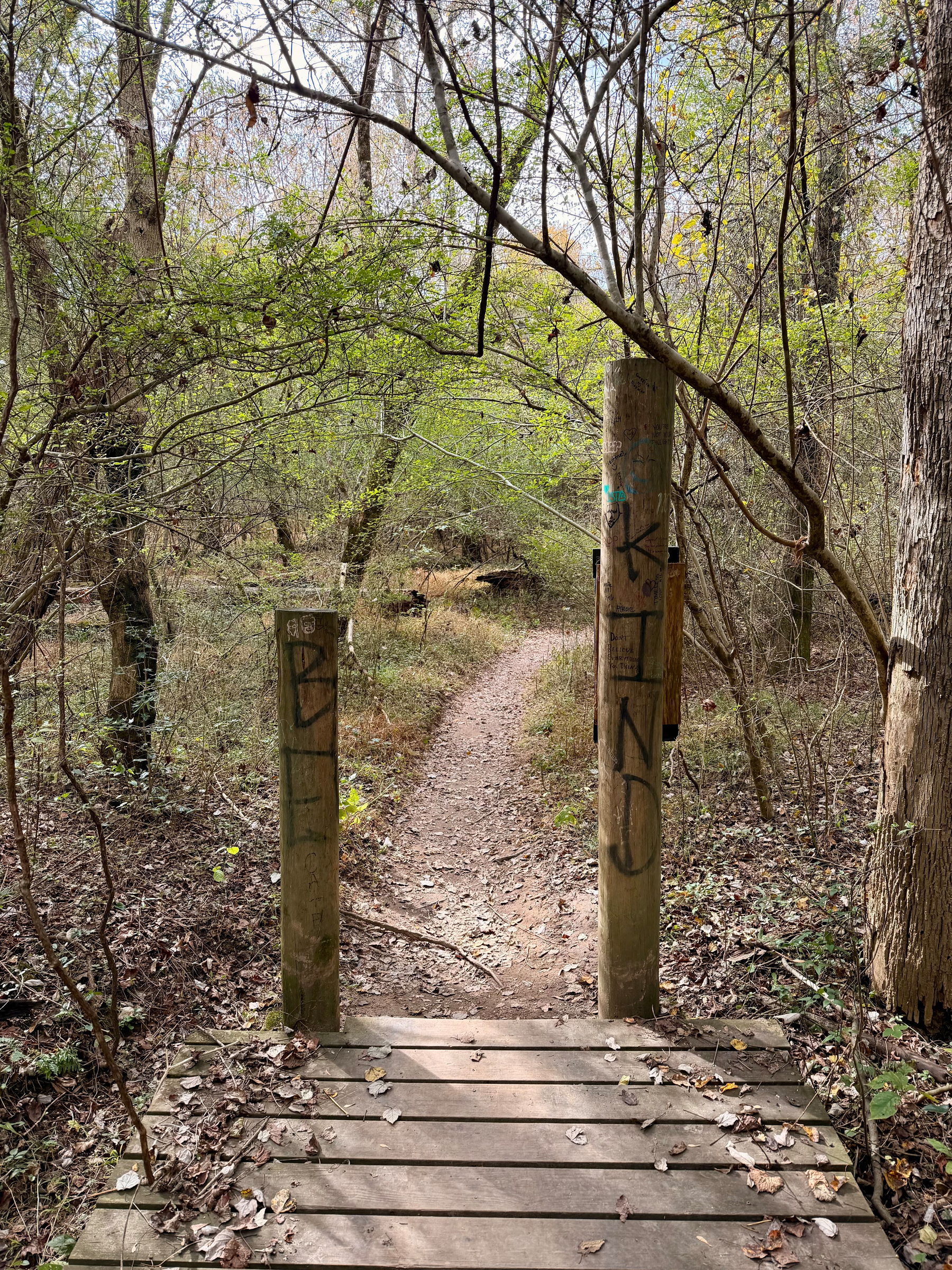 Auto-generated description: A small wooden bridge leads to a narrow path through a dense, wooded area with scattered leaves.
