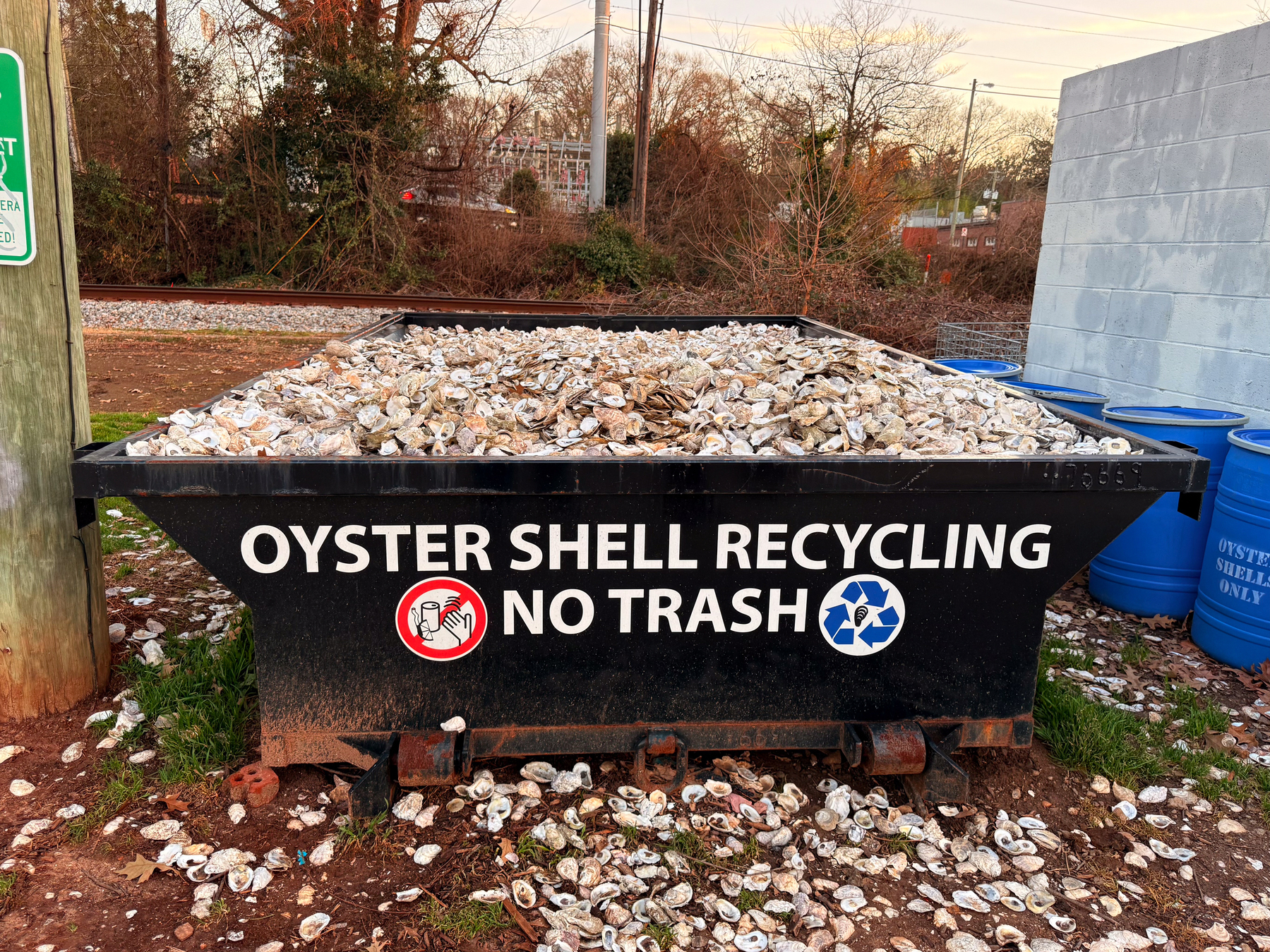 Auto-generated description: A large container filled with oyster shells is labeled for recycling, with signs indicating no trash should be added.
